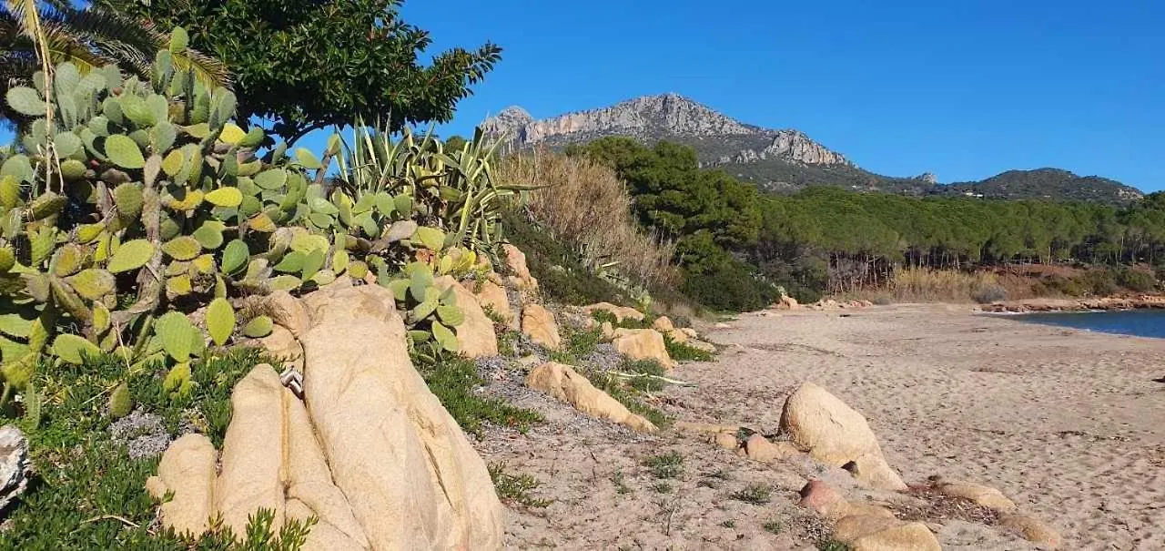 Casa Vacanze Marconi A Donigala 洛特佐莱 公寓